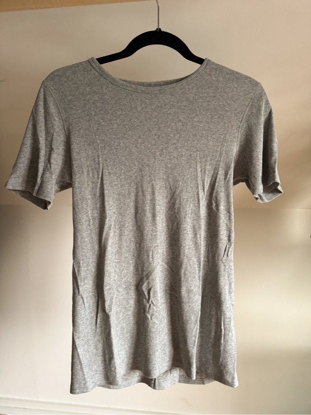 Everlane Micro Ribbed Crew Tee